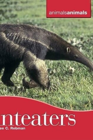 Cover of Anteaters