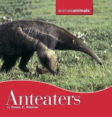 Cover of Anteaters