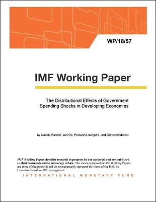 Book cover for The Distributional Effects of Government Spending Shocks in Developing Economies