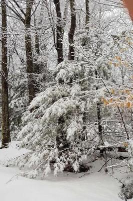 Book cover for Journal Scenic Winter Weather Trees