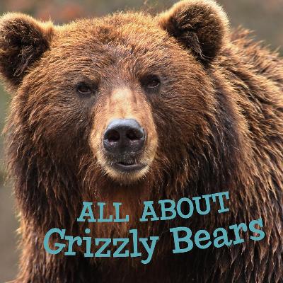 Book cover for All about Grizzly Bears