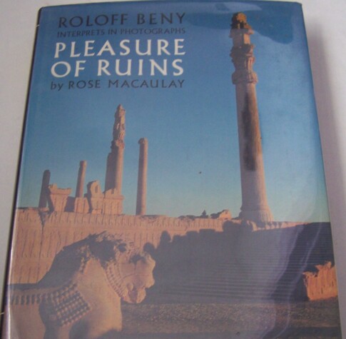 Book cover for Pleasure of Ruins