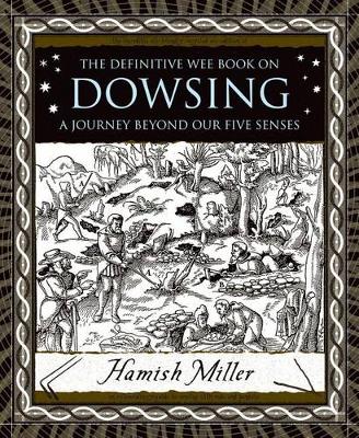 Book cover for Dowsing