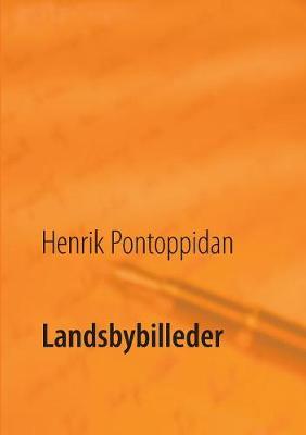 Book cover for Landsbybilleder