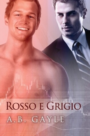 Cover of Rosso e grigio