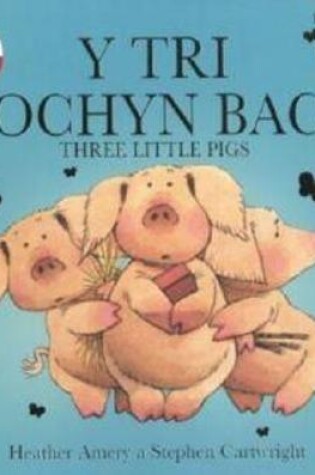 Cover of Tri Mochyn Bach, Y / Three Little Pigs