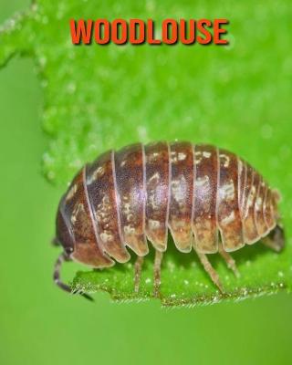 Book cover for Woodlouse