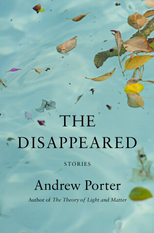 Cover of The Disappeared