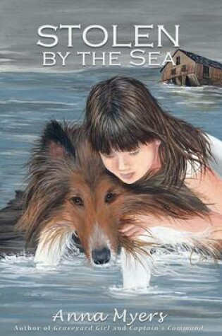 Cover of Stolen by the Sea