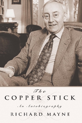 Book cover for The Copper Stick