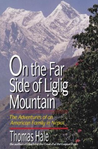 Cover of On the Far Side of Liglig Mountain