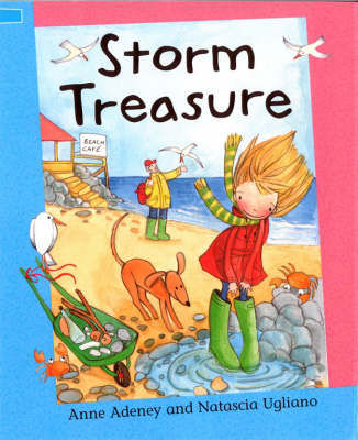 Book cover for Storm Treasure