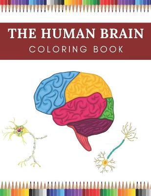 Book cover for The Human Brain Coloring Book