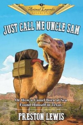 Cover of Just Call Me Uncle Sam