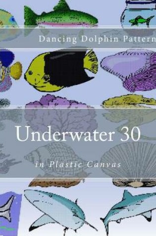 Cover of Underwater 30