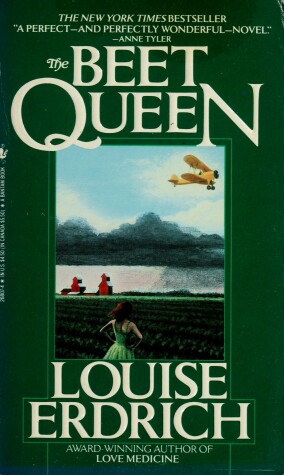 Book cover for The Beet Queen