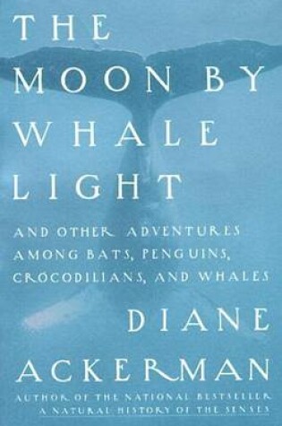 Cover of Moon by Whale Light