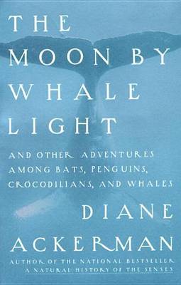 Book cover for Moon by Whale Light