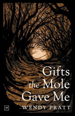 Book cover for Gifts the Mole Gave Me