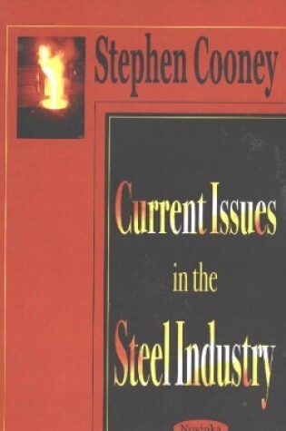 Cover of Current Issues in the Steel Industry