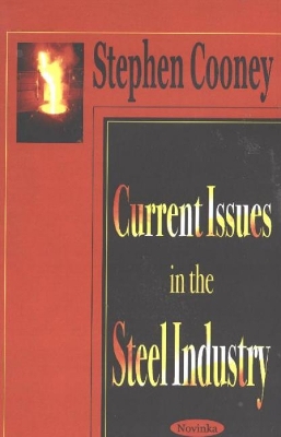 Book cover for Current Issues in the Steel Industry