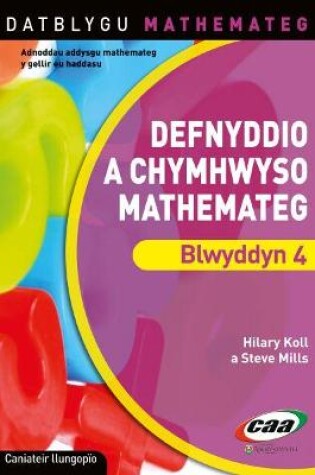 Cover of Datblygu Mathemateg: Defnyddio a Chymhwyso Mathemateg Blwyddyn 4
