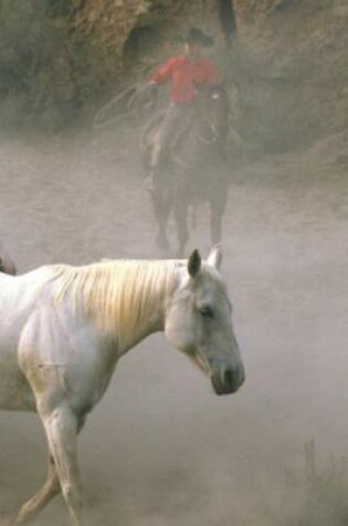 Cover of 2020 Daily Planner Horse Photo Equine Cowboy Herding 388 Pages