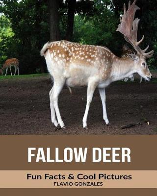 Book cover for Fallow Deer