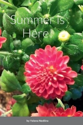 Cover of Summer is Here!