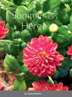 Cover of Summer is Here!