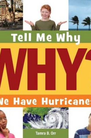 Cover of We Have Hurricanes