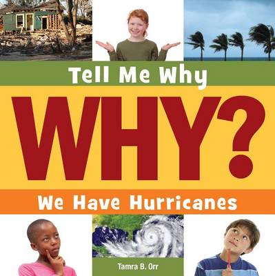Book cover for We Have Hurricanes