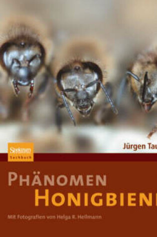 Cover of Phänomen Honigbiene