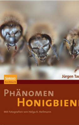 Book cover for Phänomen Honigbiene