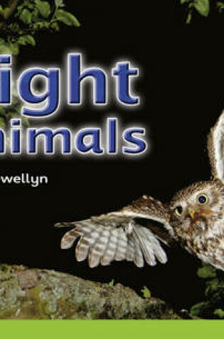 Cover of Stepping Stones: Night Animals - GREEN LEVEL
