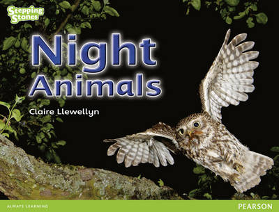 Book cover for Stepping Stones: Night Animals - GREEN LEVEL