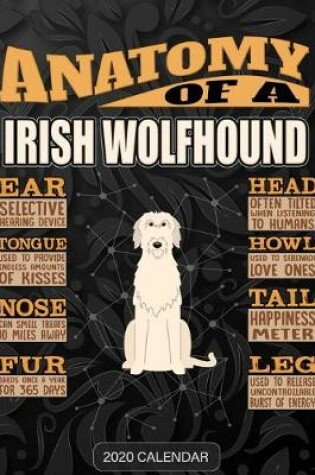 Cover of Anatomy Of A Irish Wolfhound