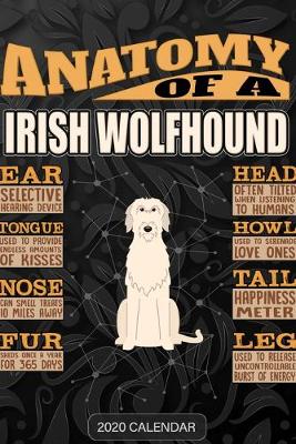 Book cover for Anatomy Of A Irish Wolfhound