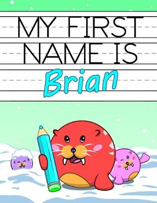 Book cover for My First Name Is Brian