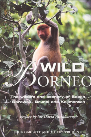 Cover of Wild Borneo