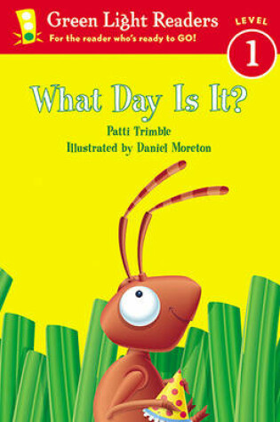 Cover of What Day Is It?