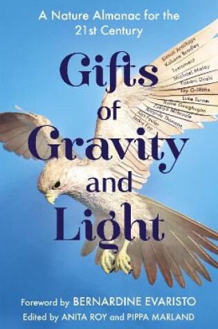 Cover of Gifts of Gravity and Light