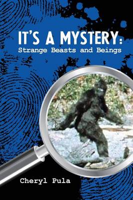 Cover of It's A Mystery, Volume 4