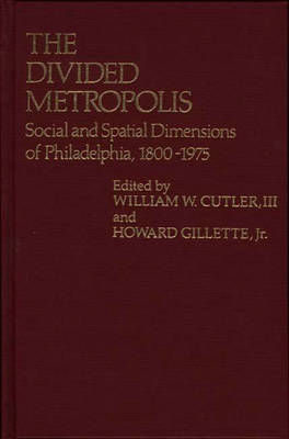 Book cover for The Divided Metropolis