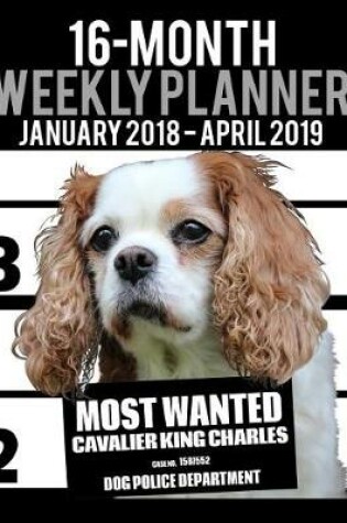 Cover of 2018-2019 Weekly Planner - Most Wanted Cavalier King Charles Spaniel