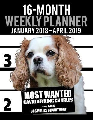 Book cover for 2018-2019 Weekly Planner - Most Wanted Cavalier King Charles Spaniel