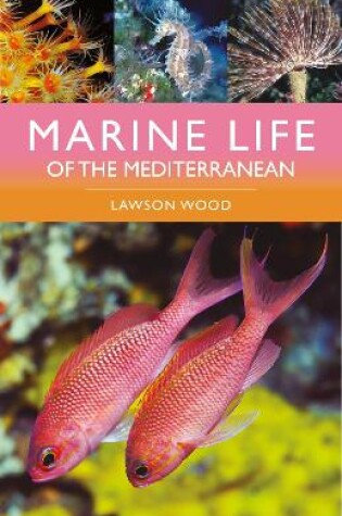 Cover of Marine Life of the Mediterranean