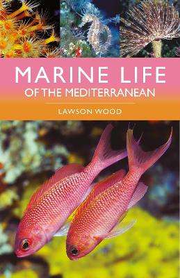 Book cover for Marine Life of the Mediterranean