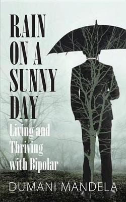 Book cover for Rain on a Sunny Day