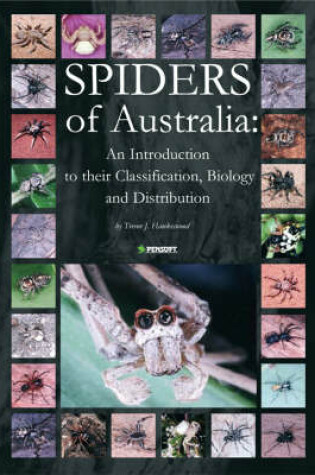 Cover of Spiders of Australia